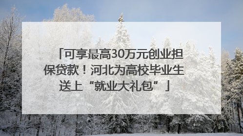 可享最高30万元创业担保贷款！河北为高校毕业生送上“就业大礼包”