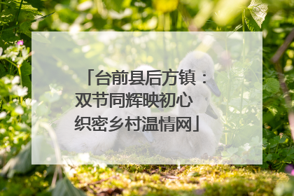 台前县后方镇：双节同辉映初心 织密乡村温情网