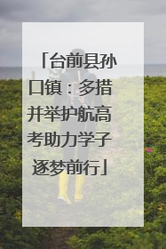 台前县孙口镇：多措并举护航高考助力学子逐梦前行