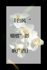 台风“蝴蝶”影响广西