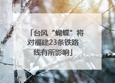 台风“蝴蝶”将对福建23条铁路线有所影响