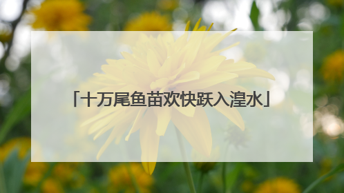 十万尾鱼苗欢快跃入湟水