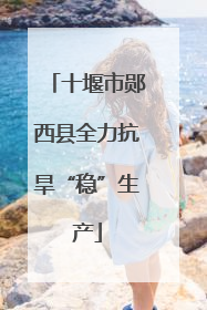 十堰市郧西县全力抗旱“稳”生产