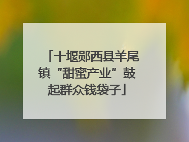 十堰郧西县羊尾镇“甜蜜产业”鼓起群众钱袋子