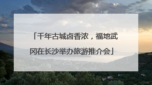 千年古城卤香浓，福地武冈在长沙举办旅游推介会