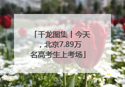 千龙图集丨今天，北京7.89万名高考生上考场