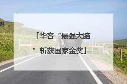 华容“最强大脑”斩获国家金奖