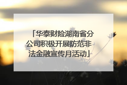 华泰财险湖南省分公司积极开展防范非法金融宣传月活动
