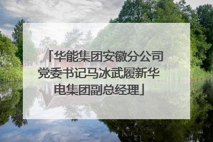 华能集团安徽分公司党委书记马冰武履新华电集团副总经理