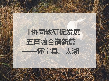 协同教研促发展 五育融合谱新篇——怀宁县、太湖县联合教研活动在月山镇中心学校成功举办