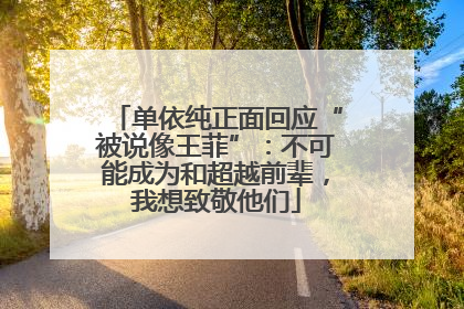 单依纯正面回应“被说像王菲”：不可能成为和超越前辈，我想致敬他们