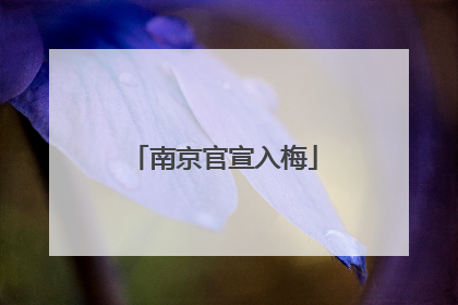 南京官宣入梅