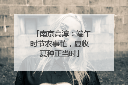 南京高淳：端午时节农事忙，夏收夏种正当时
