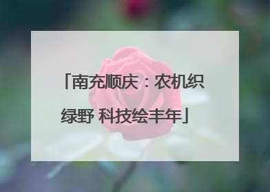 南充顺庆：农机织绿野 科技绘丰年