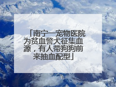 南宁一宠物医院为贫血警犬征集血源，有人带狗狗前来抽血配型