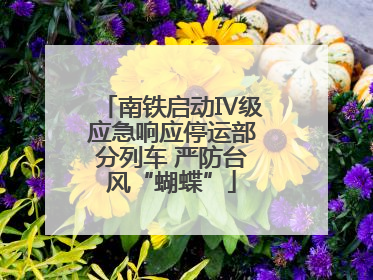 南铁启动Ⅳ级应急响应停运部分列车 严防台风“蝴蝶”