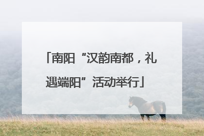 南阳“汉韵南都，礼遇端阳”活动举行