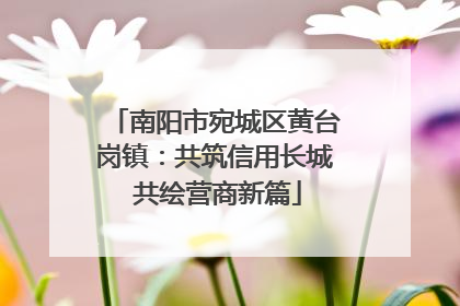 南阳市宛城区黄台岗镇：共筑信用长城 共绘营商新篇