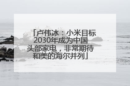 卢伟冰：小米目标2030年成为中国头部家电，非常期待和美的海尔并列