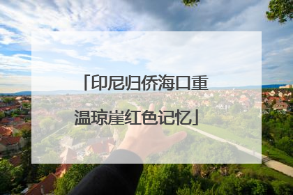 印尼归侨海口重温琼崖红色记忆
