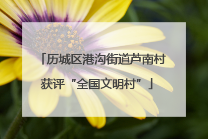 历城区港沟街道芦南村获评“全国文明村”
