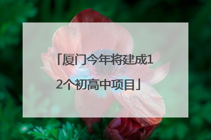 厦门今年将建成12个初高中项目