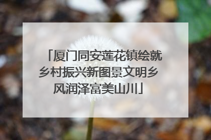 厦门同安莲花镇绘就乡村振兴新图景文明乡风润泽富美山川
