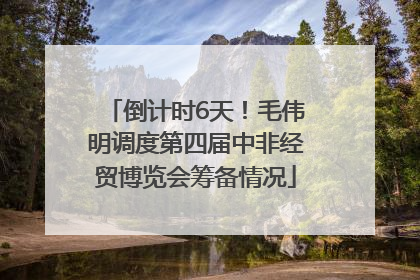 倒计时6天！毛伟明调度第四届中非经贸博览会筹备情况