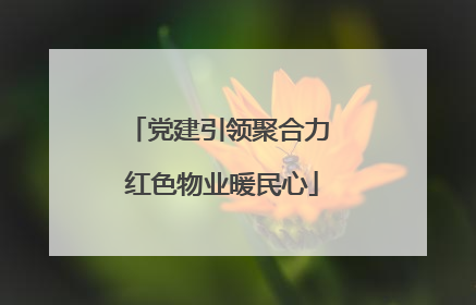 党建引领聚合力 红色物业暖民心