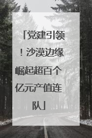 党建引领！沙漠边缘崛起超百个亿元产值连队