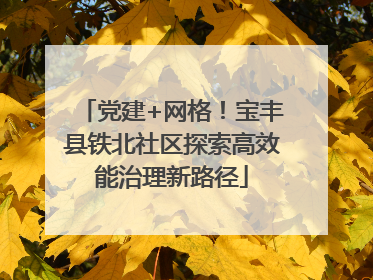 党建+网格！宝丰县铁北社区探索高效能治理新路径