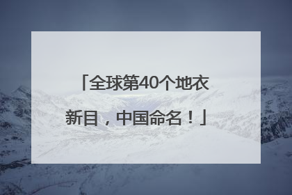 全球第40个地衣新目，中国命名！