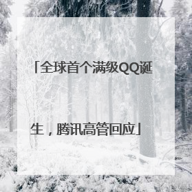 全球首个满级QQ诞生，腾讯高管回应