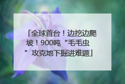 全球首台！边挖边爬坡！900吨“毛毛虫”攻克地下掘进难题