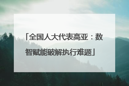 全国人大代表高亚：数智赋能破解执行难题