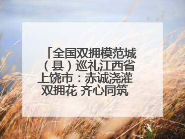 全国双拥模范城（县）巡礼江西省上饶市：赤诚浇灌双拥花 齐心同筑模范城