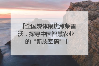 全国媒体聚焦潍柴雷沃，探寻中国智慧农业的“新质密码”