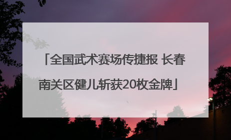 全国武术赛场传捷报 长春南关区健儿斩获20枚金牌