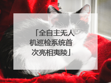 全自主无人机巡检系统首次亮相夷陵