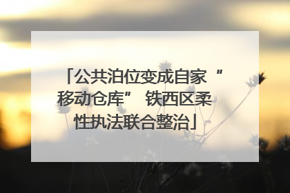 公共泊位变成自家“移动仓库” 铁西区柔性执法联合整治