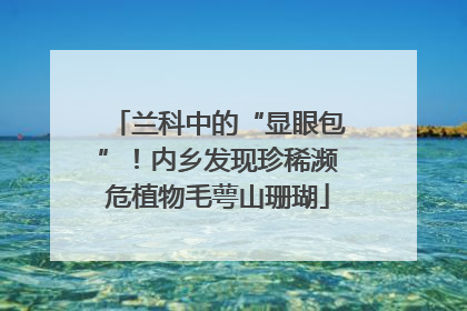 兰科中的“显眼包”！内乡发现珍稀濒危植物毛萼山珊瑚