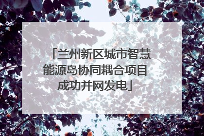 兰州新区城市智慧能源岛协同耦合项目成功并网发电