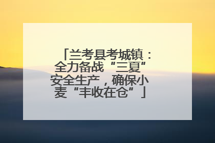 兰考县考城镇：全力备战“三夏”安全生产，确保小麦“丰收在仓”