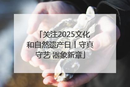 关注2025文化和自然遗产日丨守真守艺 器象新章