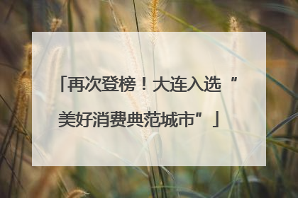 再次登榜！大连入选“美好消费典范城市”