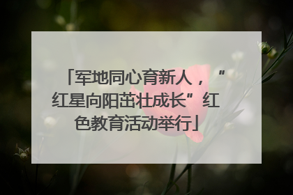 军地同心育新人,“红星向阳茁壮成长”红色教育活动举行