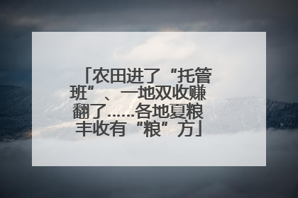农田进了“托管班”、一地双收赚翻了……各地夏粮丰收有“粮”方