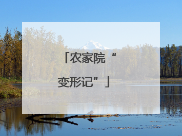 农家院“变形记”