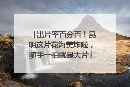 出片率百分百！昆明这片花海美炸啦，随手一拍就是大片