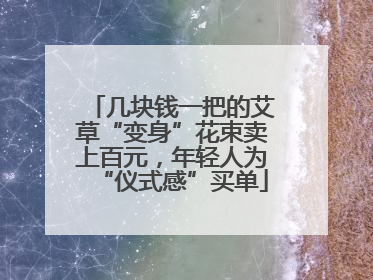 几块钱一把的艾草“变身”花束卖上百元，年轻人为“仪式感”买单